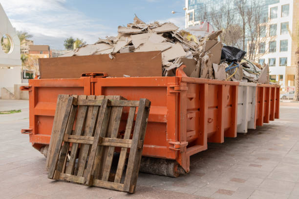 Best Professional Junk Removal  in Oak Grove, MN